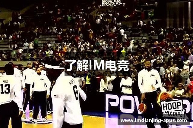 了解IM电竞